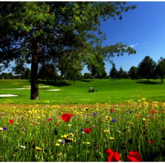 Time4Golf Italië Lombardije Le Robinie Golf & Resort